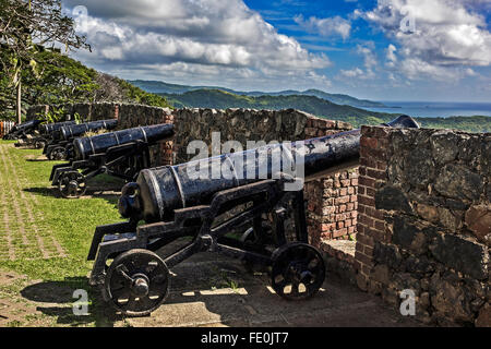 Line Of Cannon Fort King George Tobago west Indies Stock Photo