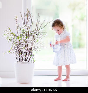 Little girl playing with first spring flowers at home. Child watering house plant. Toddler with cherry blossom tree Stock Photo