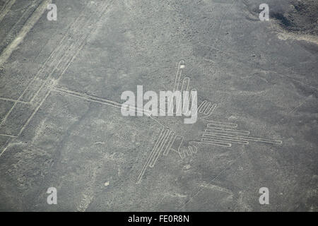 Aerial view of Nazca Lines - Hummingbird geoglyph, Peru. The Lines were designated as a UNESCO World Heritage Site in 1994. Stock Photo