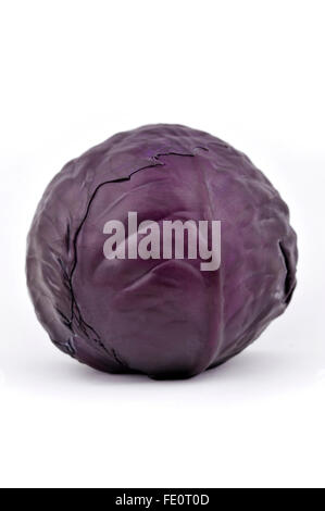 Whole red or purple cabbage also known as red kraut or blue kraut. Stock Photo