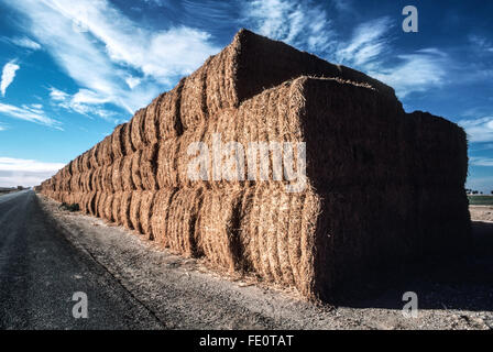 Hay bundles, California, United States of America Stock Photo