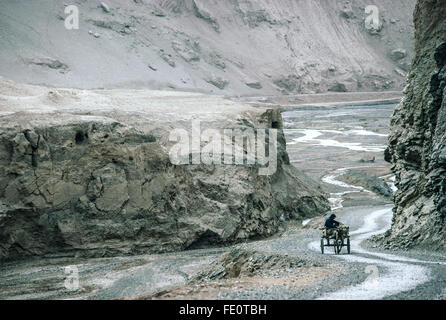 Donkey pulls man in cart - Flaming Mountains of Gobi Desert, NW China #1186CHINA Stock Photo