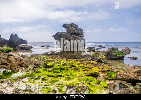 Lord Howe Island in the Tasman Sea, Unincorporated area of New South Wales, Australia. Volcanic rocks at Middle Beach Stock Photo