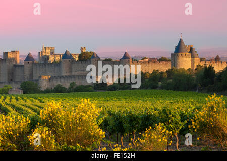 Dawn overlooking the medieval village of Carcassonne, Languedoc-Roussillon, France Stock Photo