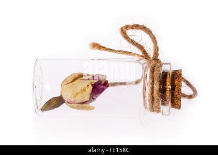 bottle cork rose Isolated on white background Stock Photo