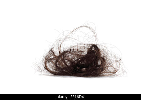 Studio Shot of a Wad of Human Hair on a White Background Stock Photo