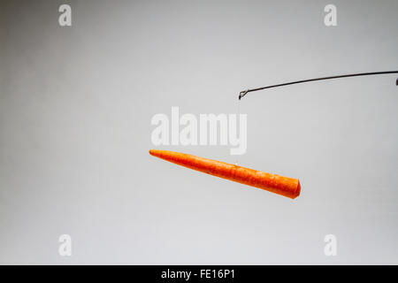 A Carrot dangling from a fishing pole as in the carrot and stick approach Stock Photo