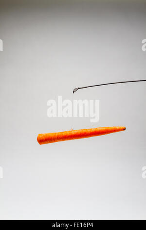A Carrot dangling from a fishing pole as in the carrot and stick approach Stock Photo