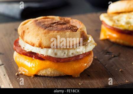 Homemade Breakfast Egg Sandwich with Cheese on an English Muffin Stock Photo