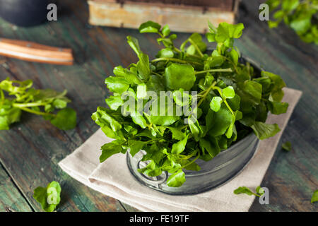 Raw Organic Green Watercress Ready to Use Stock Photo