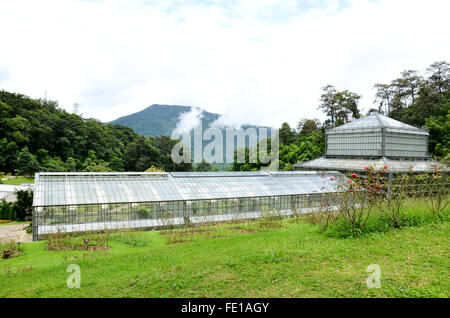 greenhouse in queen sirikit botanical garden, thailand Stock Photo