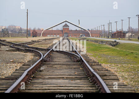 Railway leading to the entrance of the Nazi death camp at Auschwitz in Poland. Stock Photo