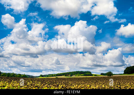 Blue skyscape with Cirro-cumulus clouds - France. Stock Photo