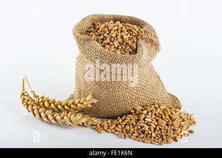 Wheat grain in small burlap sack Stock Photo