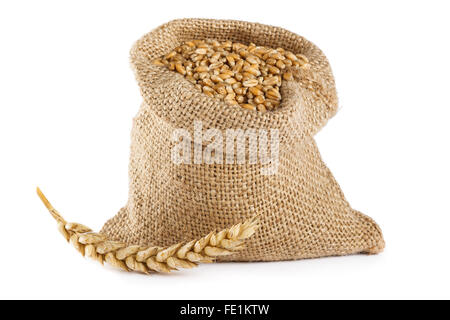 Wheat grain in small burlap sack isolated on white background Stock Photo