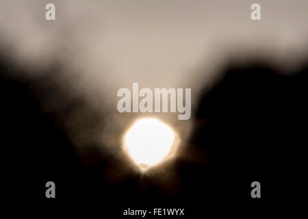 blurred sunset behind trees for backgrounds Stock Photo