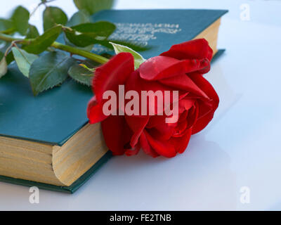 Red rose with stem and leaves laying on the closed green book Stock Photo