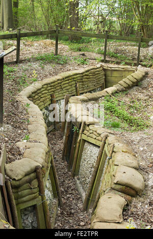 Reconstructed World War One Trenches used in Trench Warfare at ...