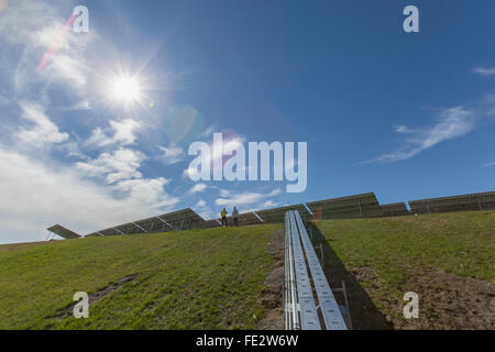 Power engineers standing in front of solar photovoltaic array Stock Photo