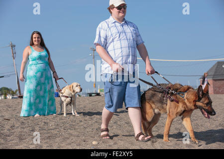 Blind couple with their service dogs walking along the beach Stock Photo