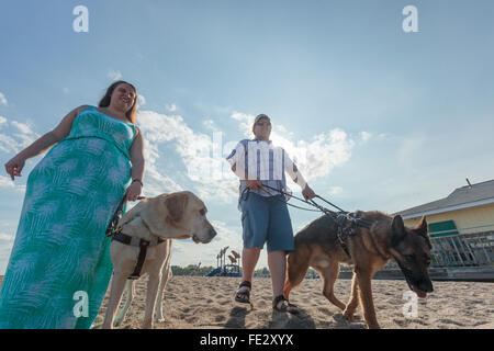 Blind couple with their service dogs walking along the beach Stock Photo