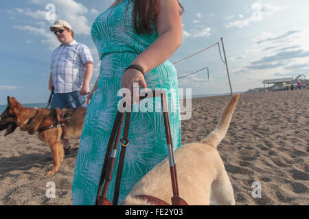 Young couple with visual impairments and service dogs walking along the beach Stock Photo