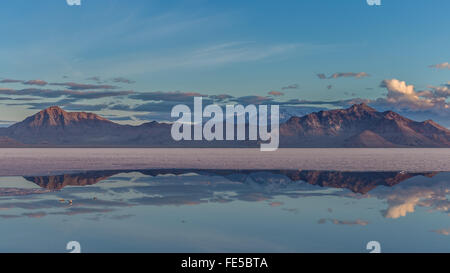 A cold night breaks on the Bonneville Salt Flats Stock Photo