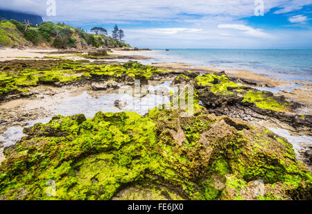 Lord Howe Island in the Tasman Sea, Unincorporated area of New South Wales, Australia. Rocky island coast at Cobbys Corner Stock Photo