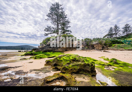 Lord Howe Island in the Tasman Sea, Unincorporated area of New South Wales, Australia. Rocky island coast at Cobbys Corner Stock Photo