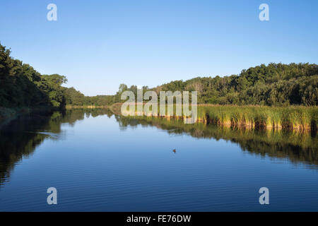 Prerower Strom, current on river Prerow, Darß, Fischland-Darß-Zingst, Western Pomerania Lagoon Area National Park Stock Photo