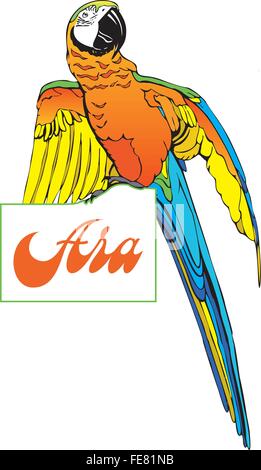macaw on the plate Stock Vector