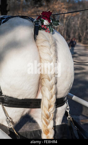 Close up braided horse tail with holiday decoration on a white horse, New Jersey, USA, farm animal humor abstract Christmas horse images isolated Stock Photo