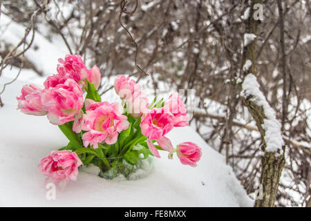 Fresh pink and white tulips are in a round vase in the snow against the backdrop of winter snow-covered trees. Stock Photo