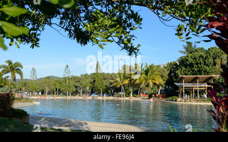 The Lagoon, Airlie Beach, Whitsunday Coast, Queensland, Australia Stock Photo