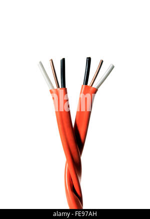 Still Life of Two Electrical Cables Wrapped Together on a White Background Stock Photo