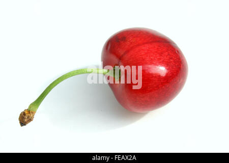 An isolated cherry Stock Photo