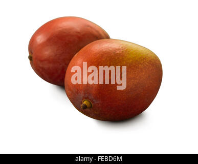 Organic Mango Tommy Atkins isolated on white Stock Photo