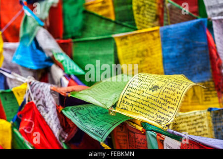 Buddhist prayer flags lungta with prayers, Ladakh Stock Photo