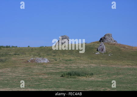 Countryside on the outskirts of Bodega Bay, California, USA Stock Photo