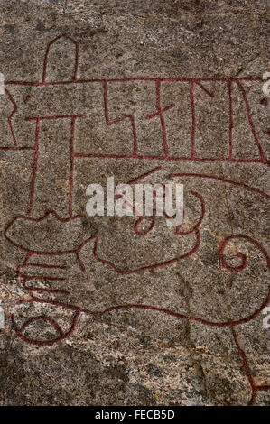 The rock carvings in Tanum. Sweden Stock Photo