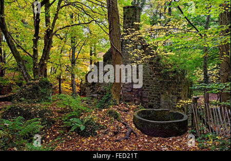 UK, Derbyshire, Peak District, Lumsdale, Old Mill Stock Photo