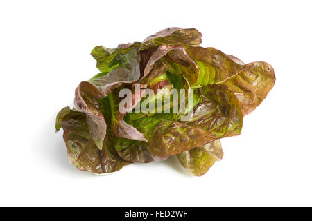 Fresh red Romaine lettuce on white background Stock Photo
