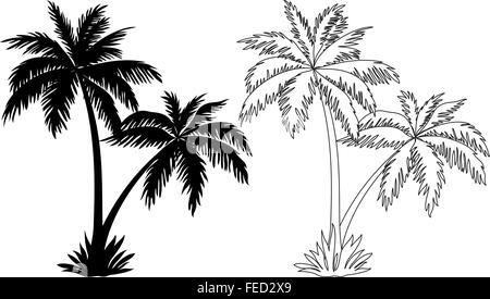 Palm Trees, Silhouettes and Contours Stock Vector