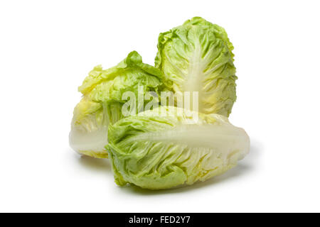 Fresh Baby gem lettuce on white background Stock Photo