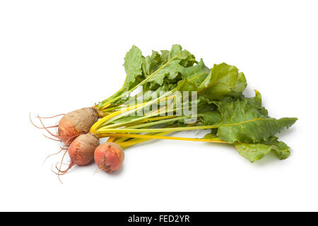 Fresh raw yellow beets on white background Stock Photo
