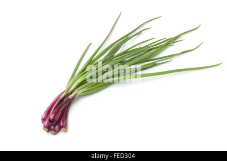 Fresh red scallions white background Stock Photo