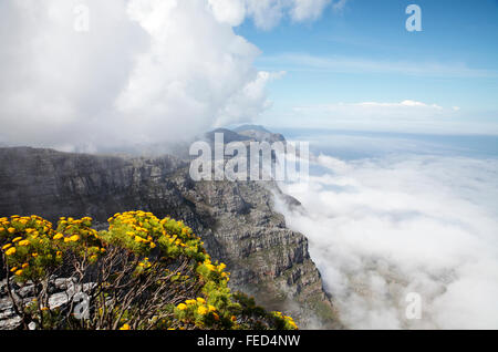 View from the top of Table Mountain, Cape Town, South Africa Stock Photo