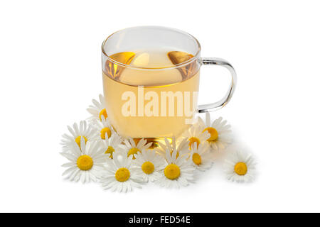 Cup of tea with fresh chamomile flowers on white background Stock Photo