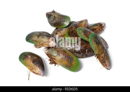 Fresh closed Green lipped mussels from New Zealand Stock Photo