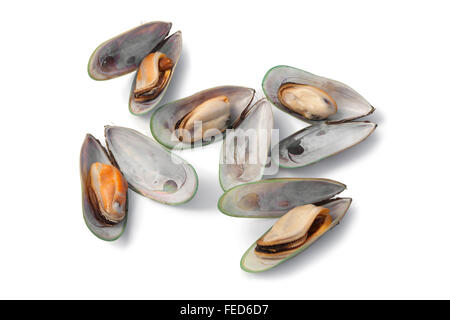 Fresh cooked Green lipped mussels from New Zealand Stock Photo
